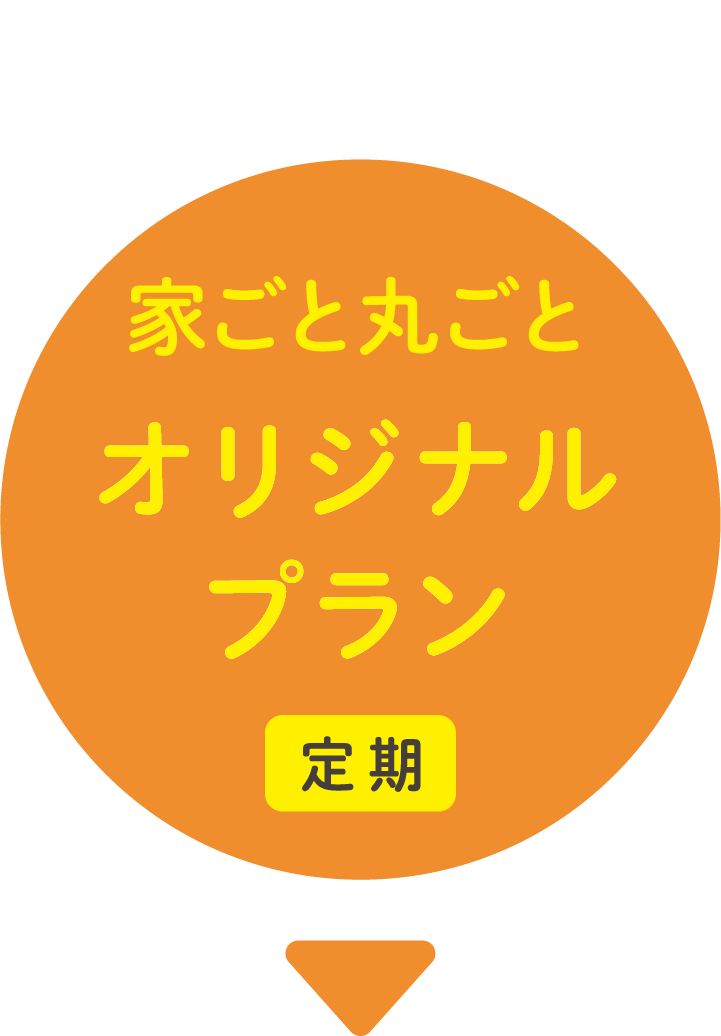 オリジナルプラン